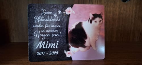 Customer photo review of Katzen Gedenktafel mit Foto & Spruch (UV- & Wetterfest)