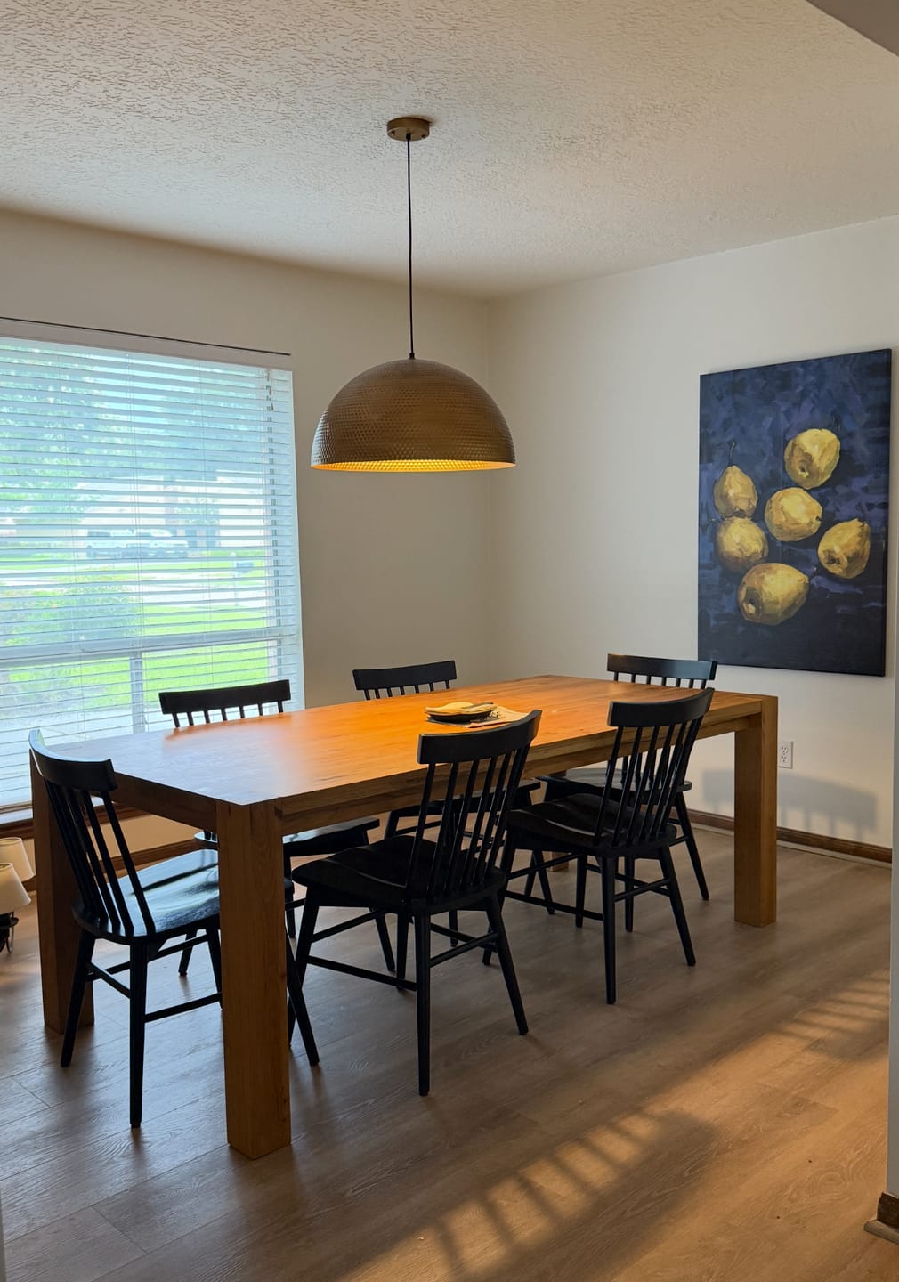 Customer photo review of Vintage Luxe Oversized Hammered Dome Pendant Light