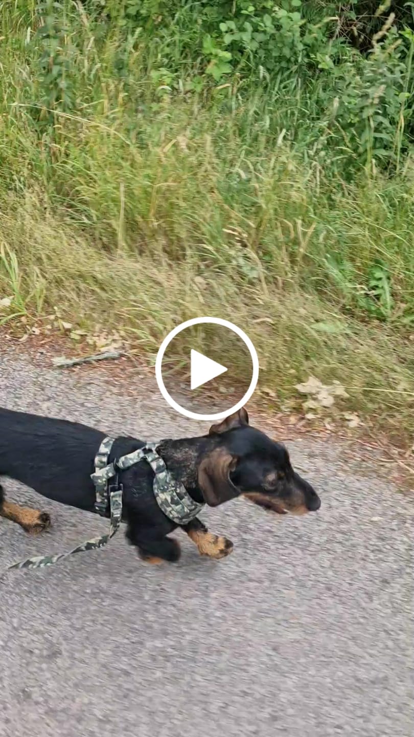 Customer video review of Sele - Green Camo