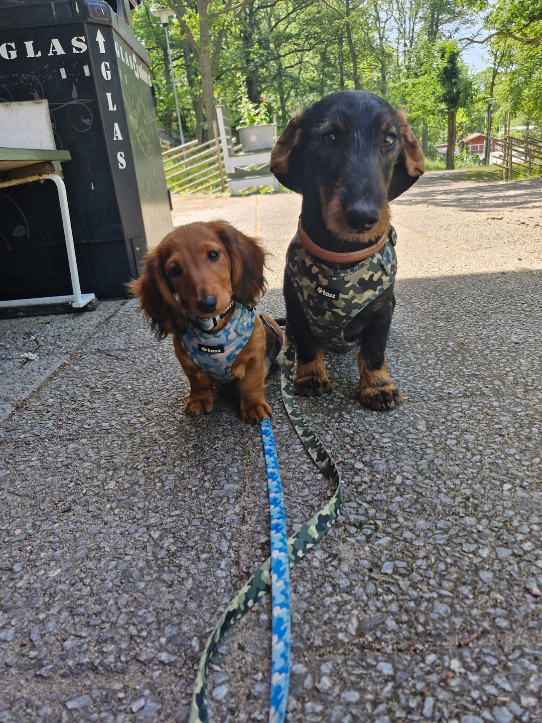 Customer photo review of Koppel - Blue Camo