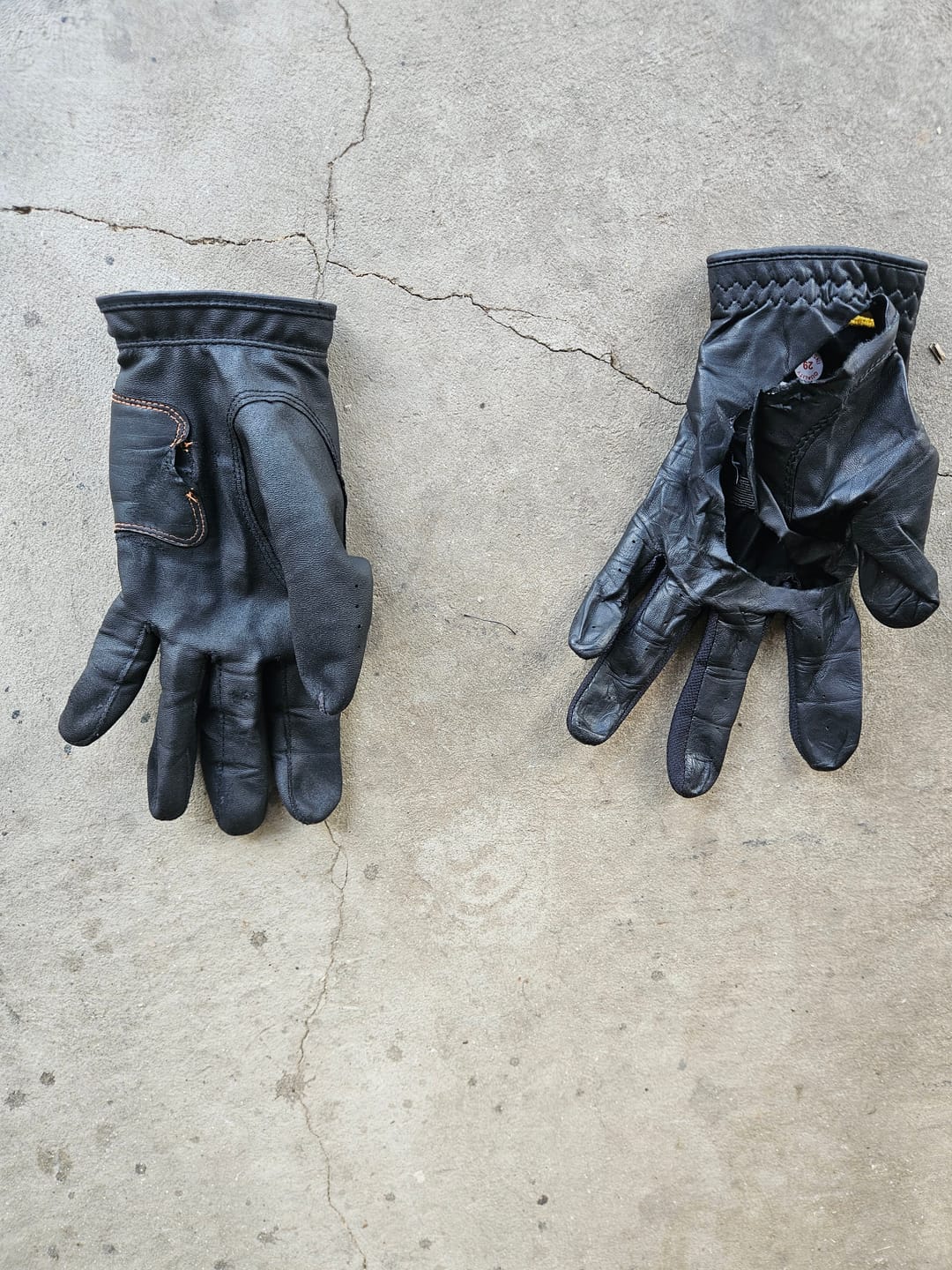 Customer photo review of TAC2™