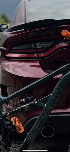 Customer photo review of Untamed Frame Keeper