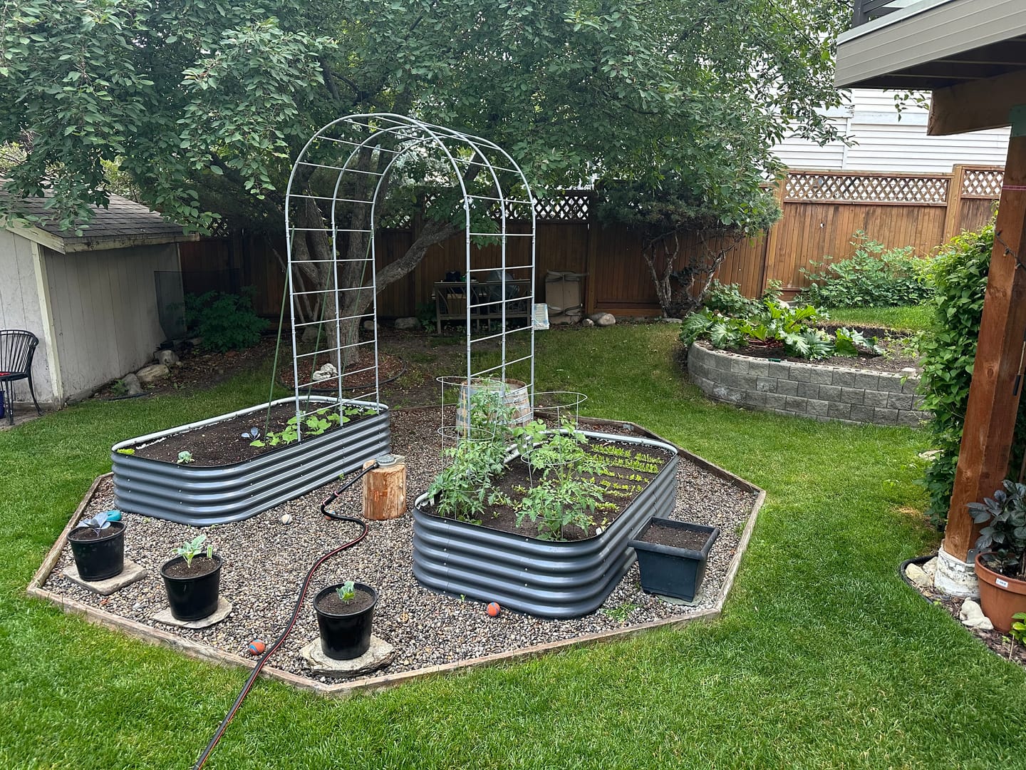 Customer photo review of Arch Garden Trellis