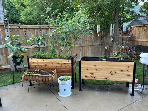 Customer photo review of 18" x 48" Raised Garden Bed - 30" TALL