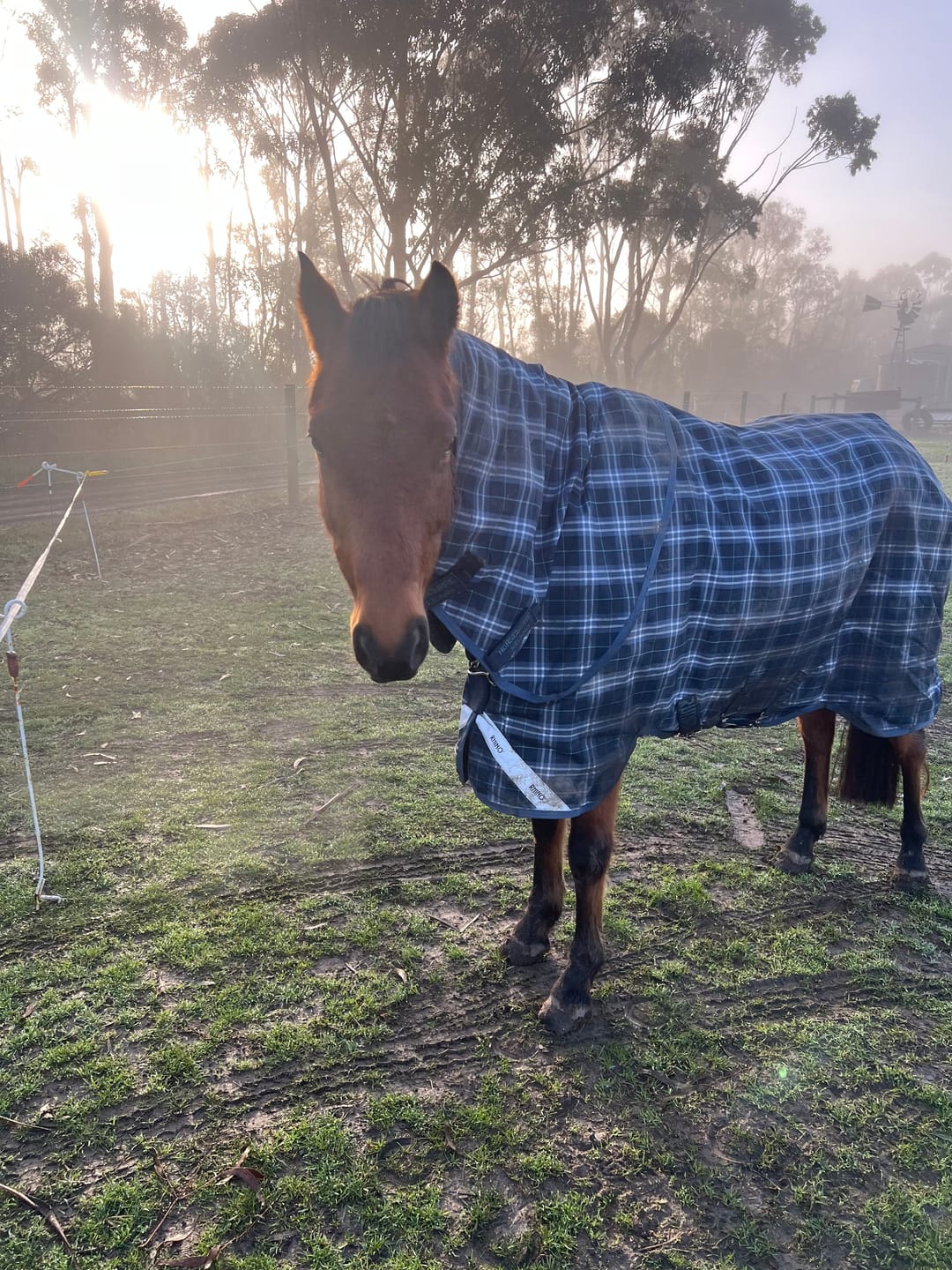 Customer photo review of Rhino Plus Turnout 0g
