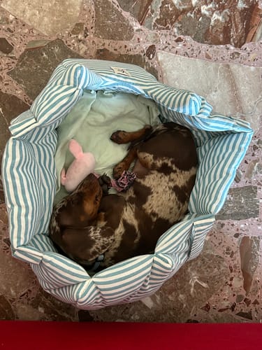 Customer photo review of Borsa Cotone Righe Strette Ottanio