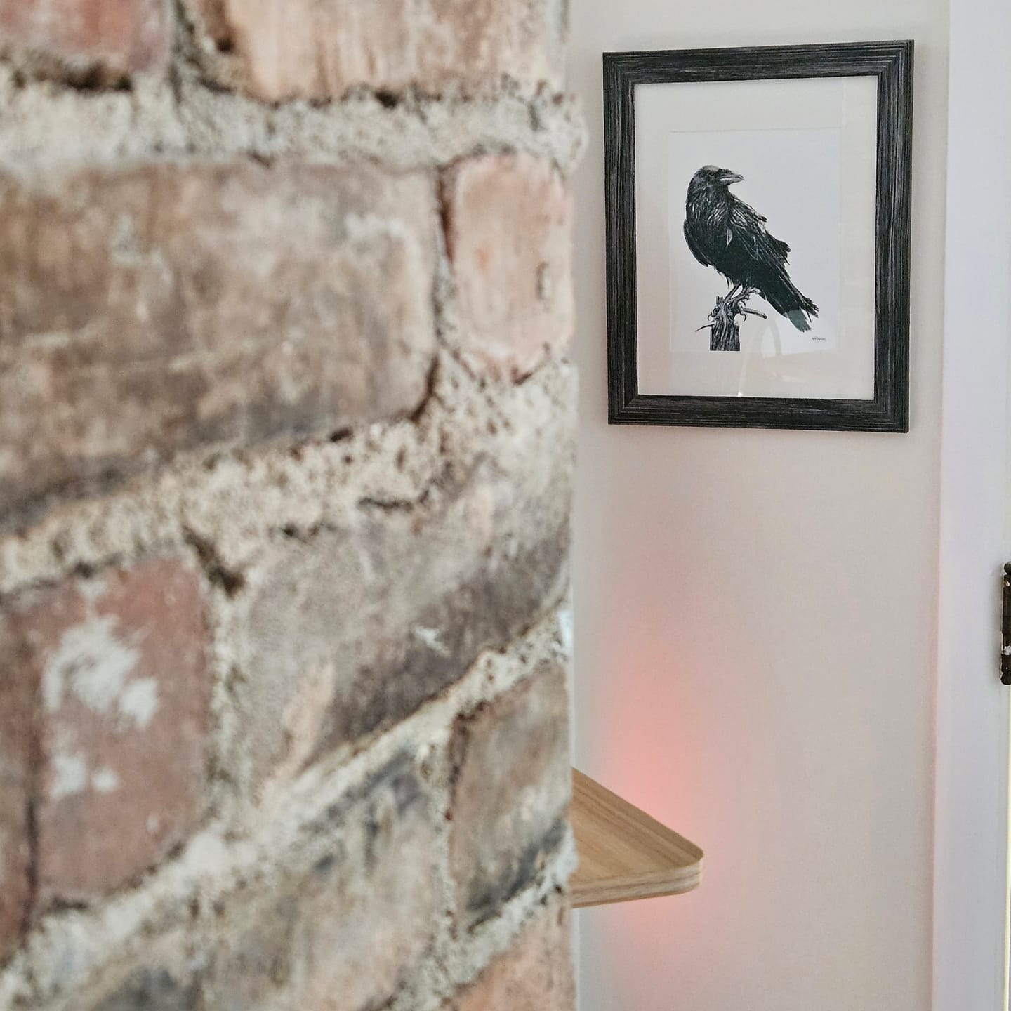 Customer photo review of CHOICE - One 8x10 print + One  greeting card  + One sticker for $24