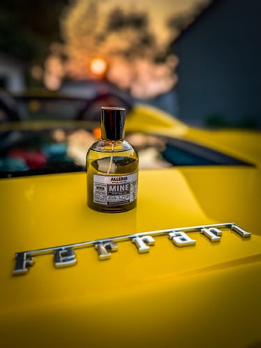 Customer photo review of ALLERIA