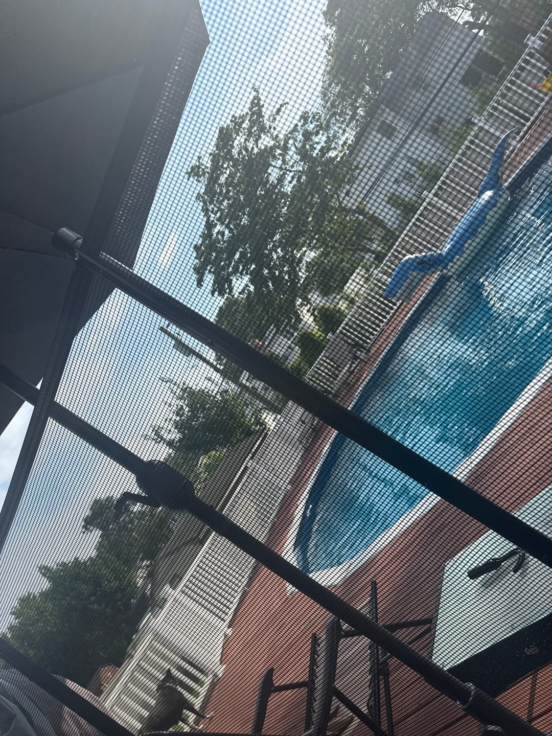 Customer photo review of Pool Frog Torpedo Pac and Mineral Pac  Virtual Bundle Frog