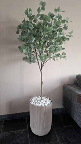 Customer photo review of Eucalyptus Kunstboom 160cm