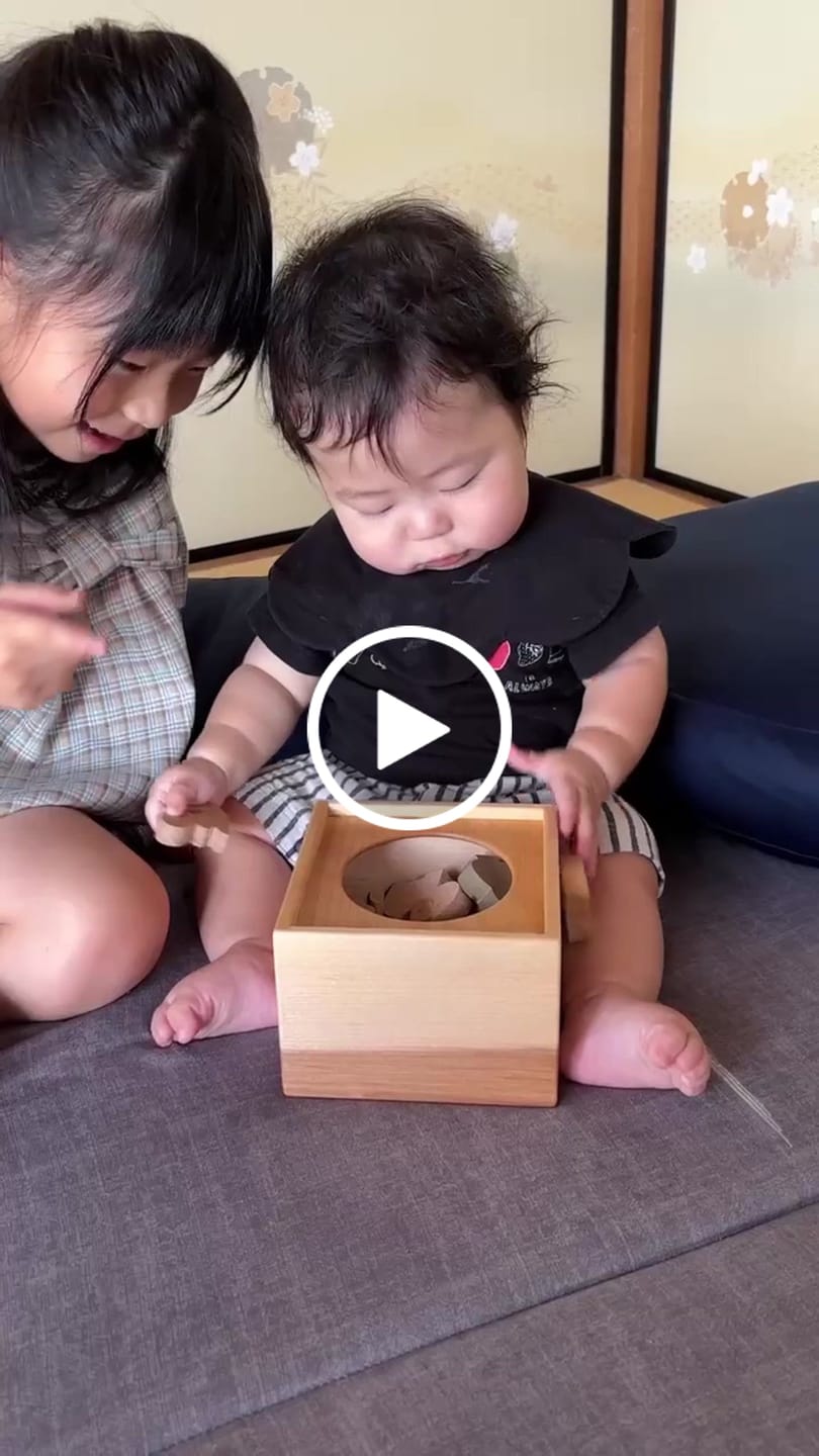 Customer video review of 動物積み木