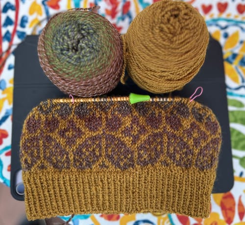 Customer photo review of Roots LITE: Ochre