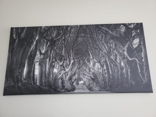 Customer photo review of Twisted - Black and White