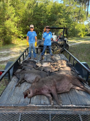 Customer photo review of Pig Brig Trap System