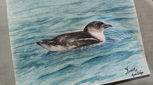 Customer photo review of Himi - Set 112 Gouache Potes 12 g Black