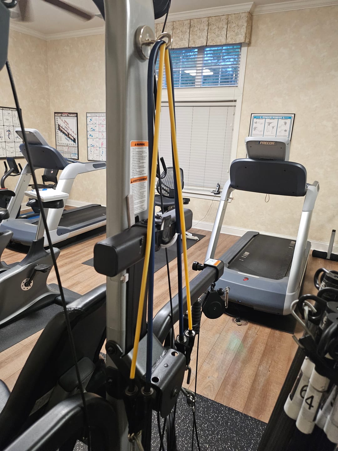 Customer photo review of Latex-Free 20lb Blue Stackable Resistance Band