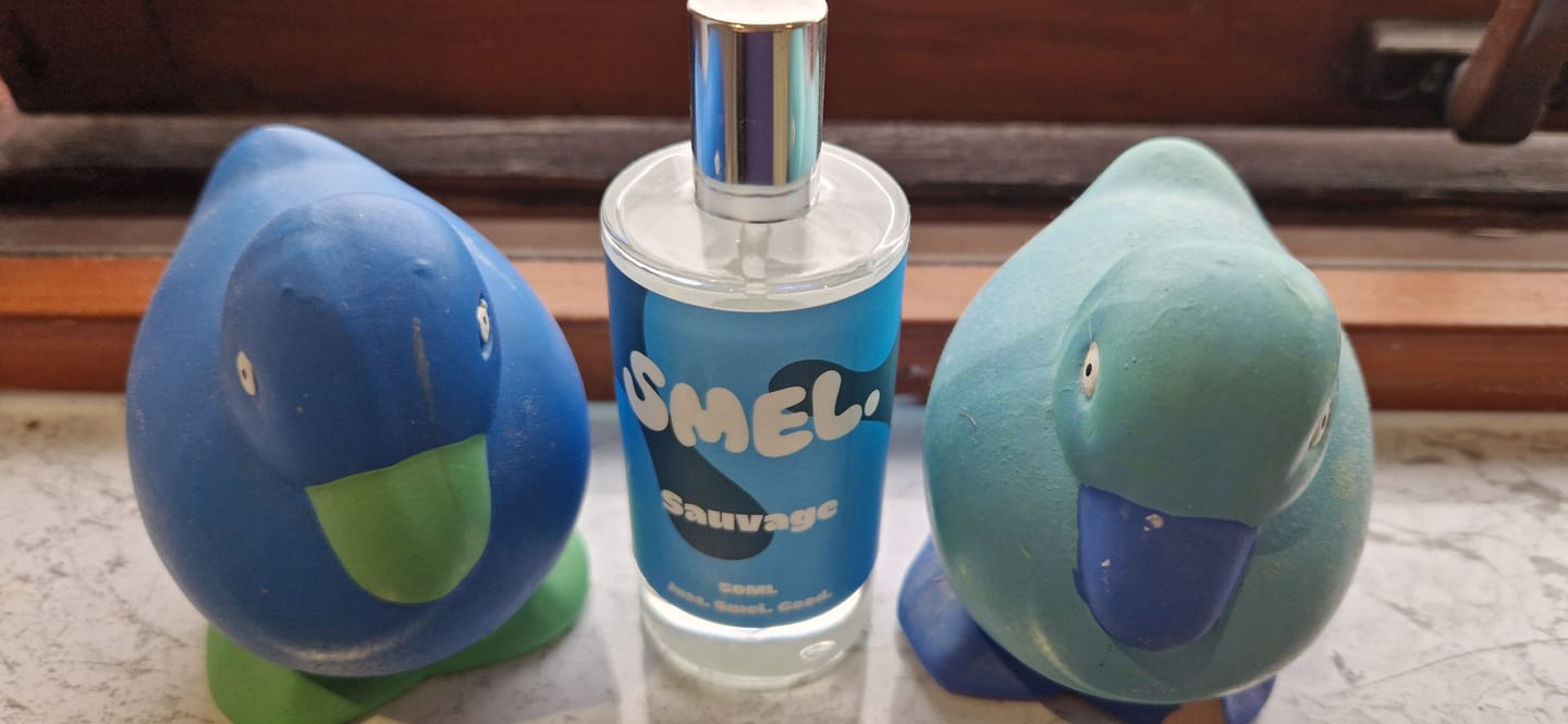 Customer photo review of Sauvage