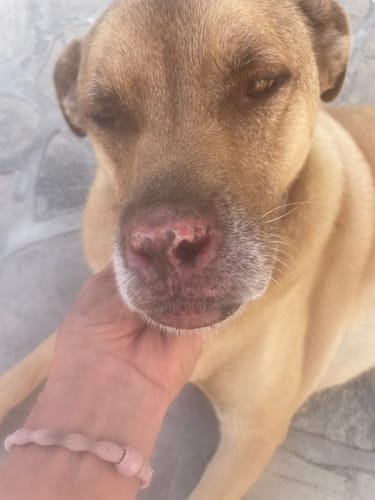 Customer photo review of DA-01™ Daily All-in-One Complete Care