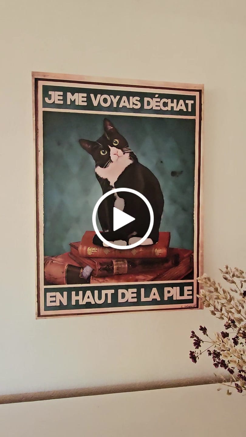 Customer video review of Je me voyais déchat en haut de la pile