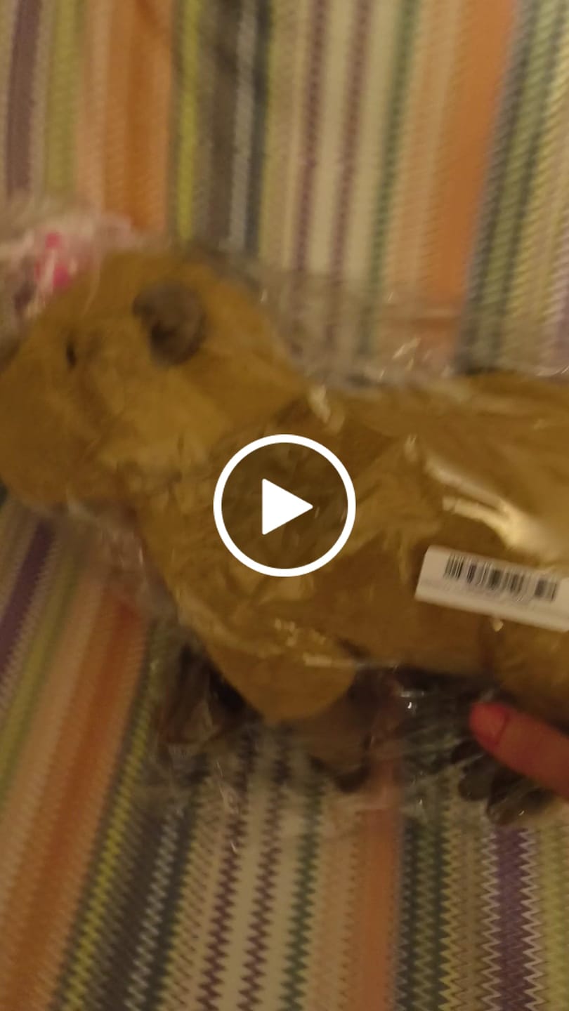 Customer video review of Capybara Soft Stuffed Plush Toy