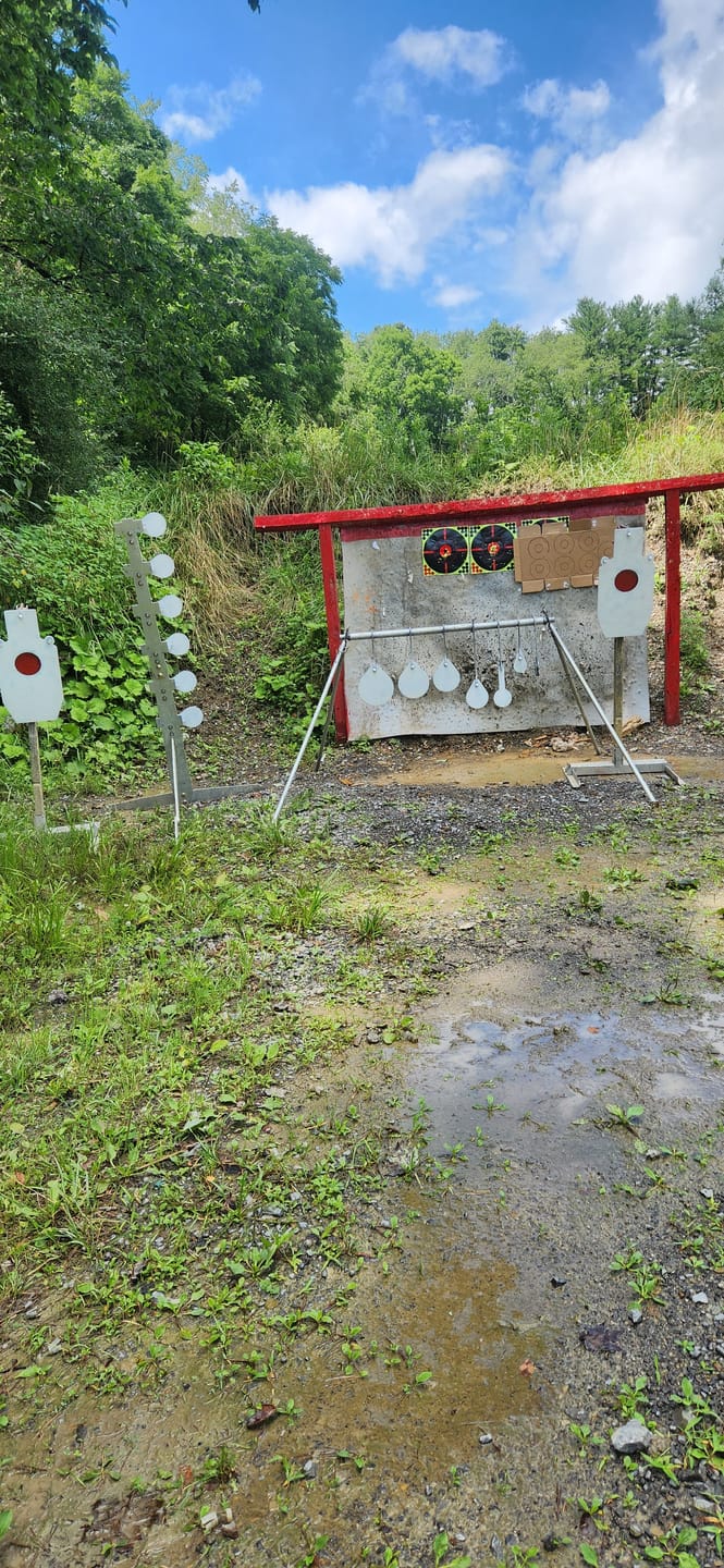 Customer photo review of Dueling Tree Target