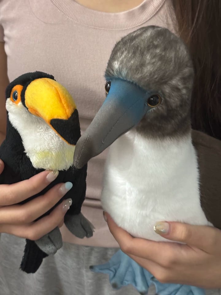 Customer photo review of Realistic Blue-footed Booby Bird Plush Toy – Soft and Lifelike