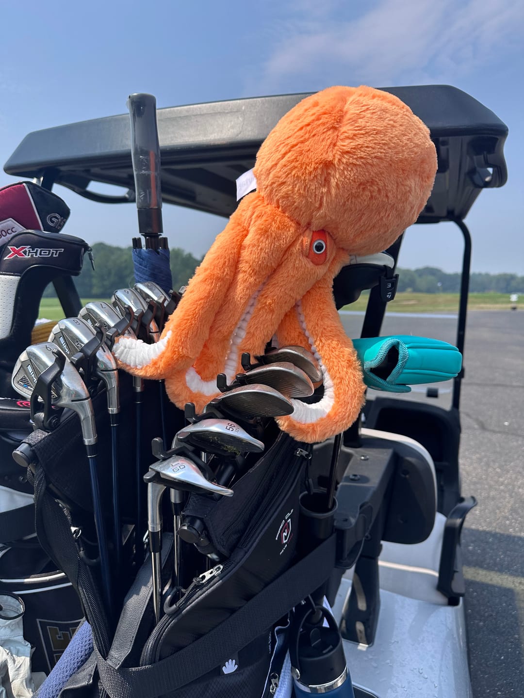 Customer photo review of PRO CLIP C2 - UTILITY