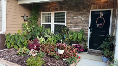 undefined review of Plant Food image 1 out of 1