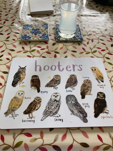 Customer photo review of Hooters Playful Place Mat