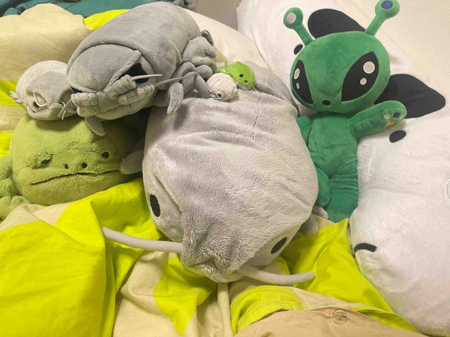 Customer photo review of Giant Isopod Plush Toy – Lifelike Deep-Sea Stuffed Animal