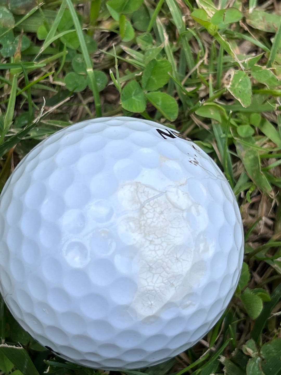 Customer photo review of Srixon - Q-Star