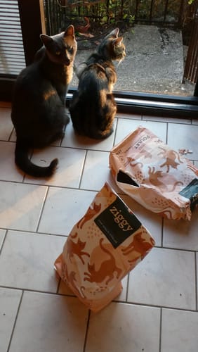 Avis photo d'un client sur Croquettes Chat Stérilisé Sans Céréales - Poulet
