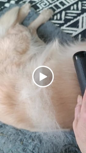 Customer video review of Fellwunder-Bürste