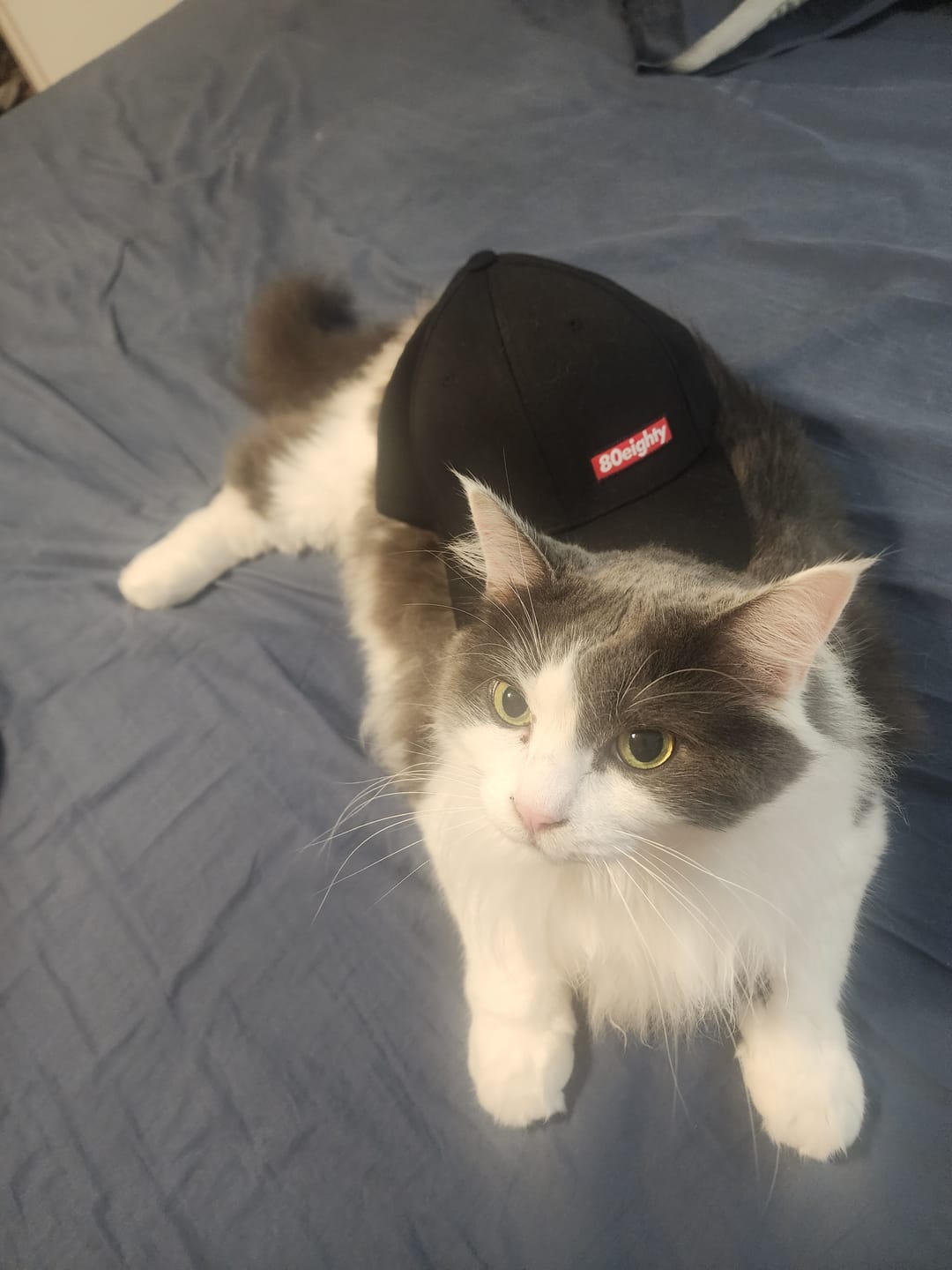 Customer photo review of 80Eighty® Premium Black Fitted Hat