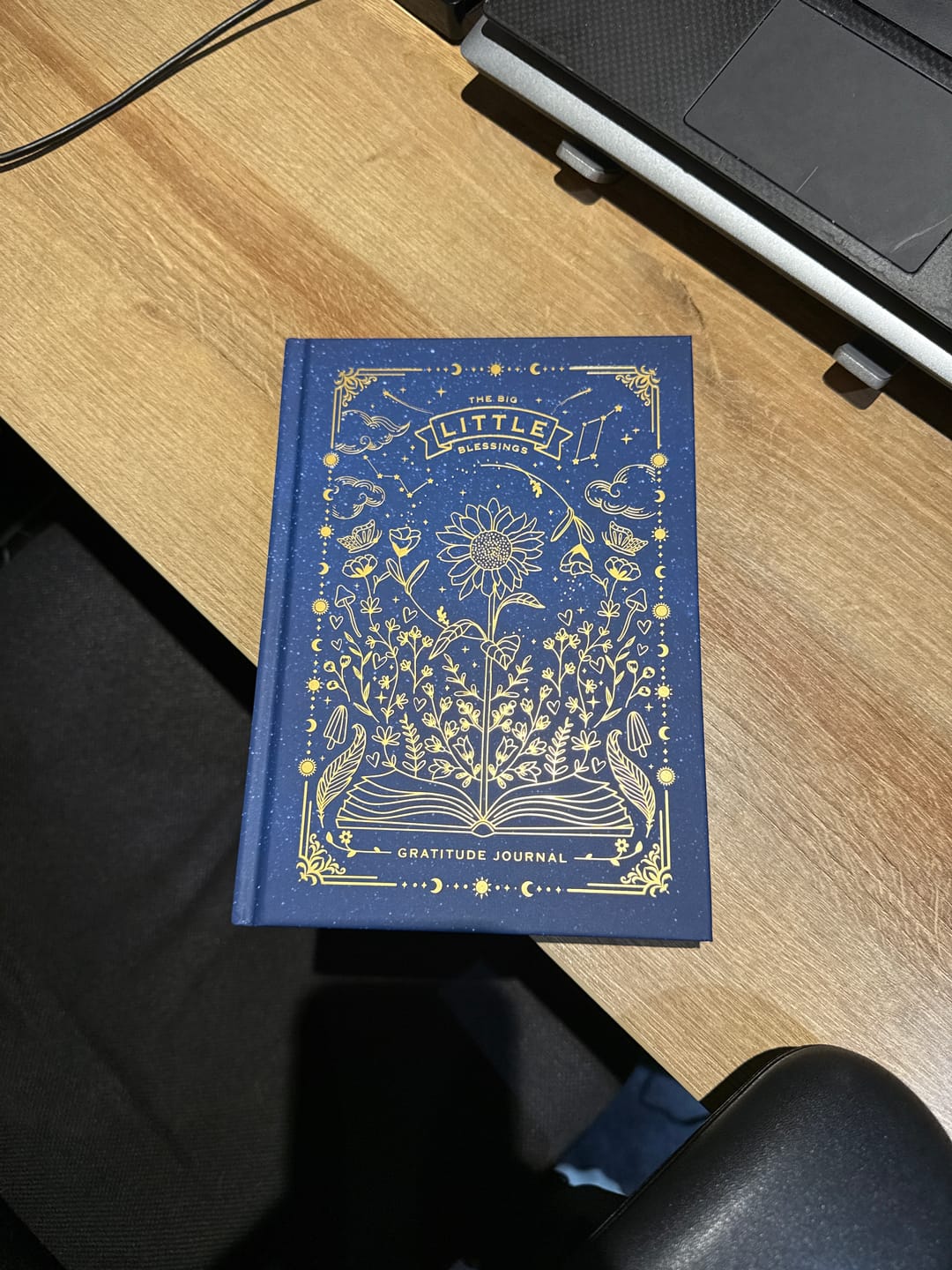 Customer photo review of Big Little Blessings Gratitude Journal