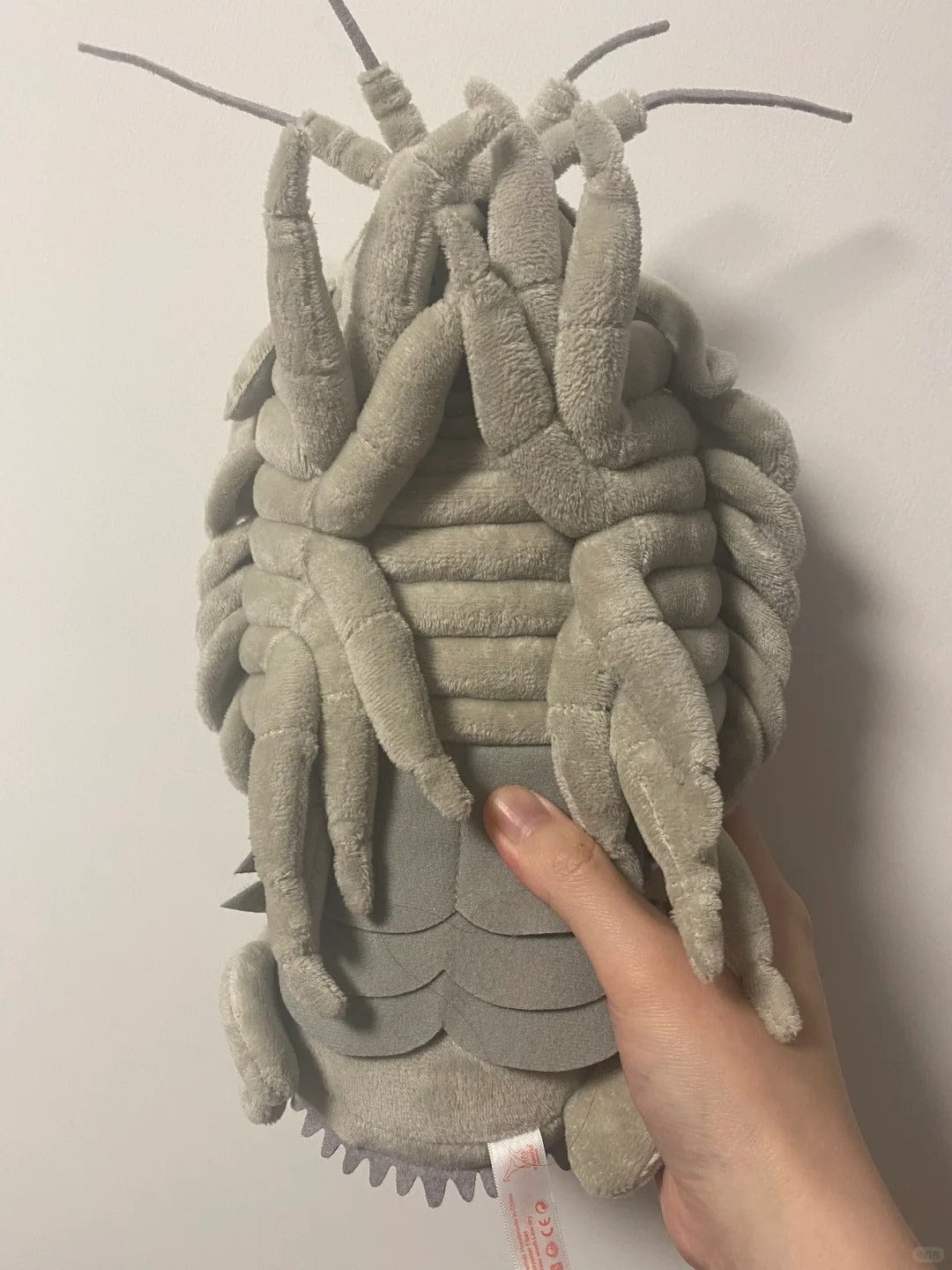 Customer photo review of Giant Isopod Plush Toy – Lifelike Deep-Sea Stuffed Animal