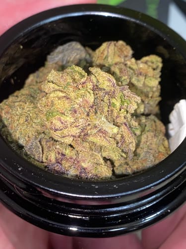 Customer photo review of Blueberry