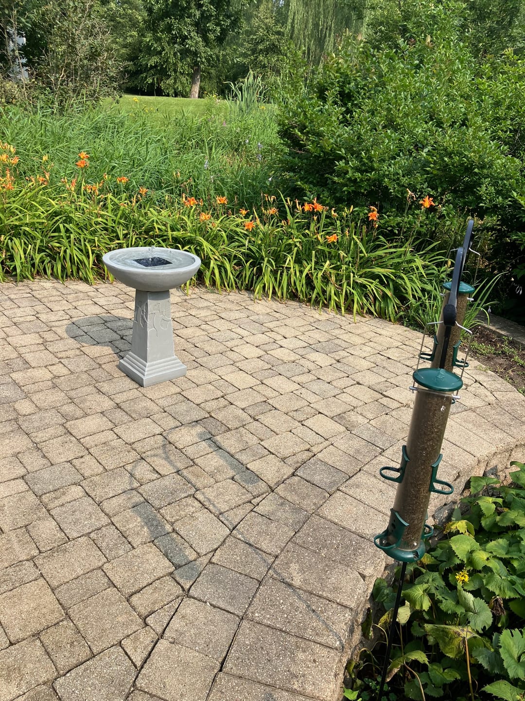 Customer photo review of Ginko Tall Solar Bird Bath