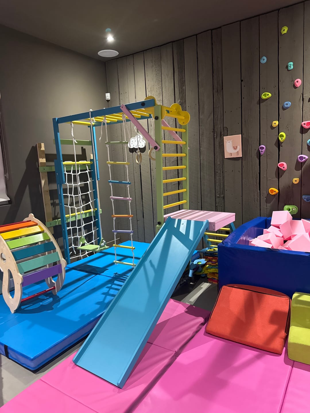Customer photo review of Grove- Indoor Jungle Gym