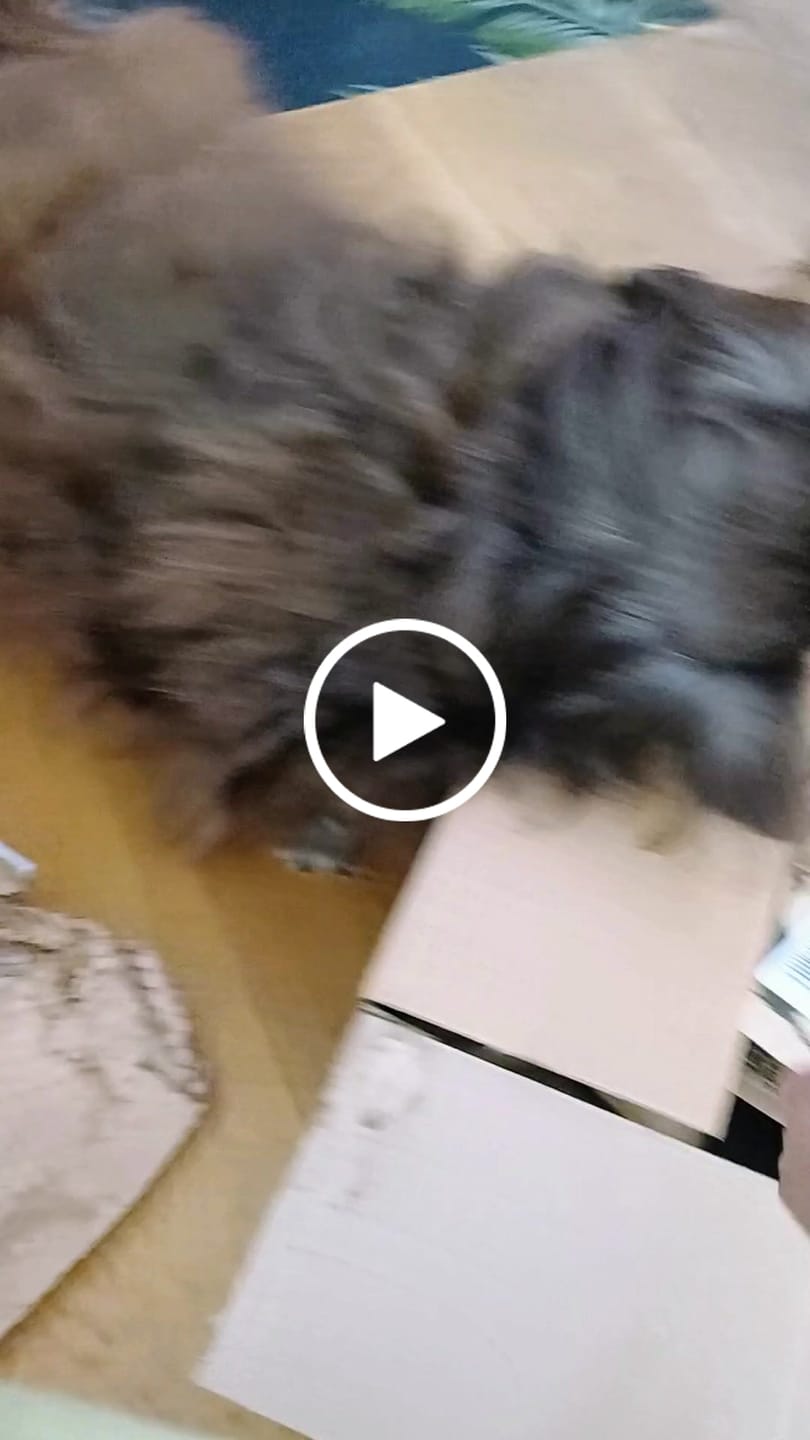Customer video review of Frisse bekkies kauwstaafjes | Kauwstaaf