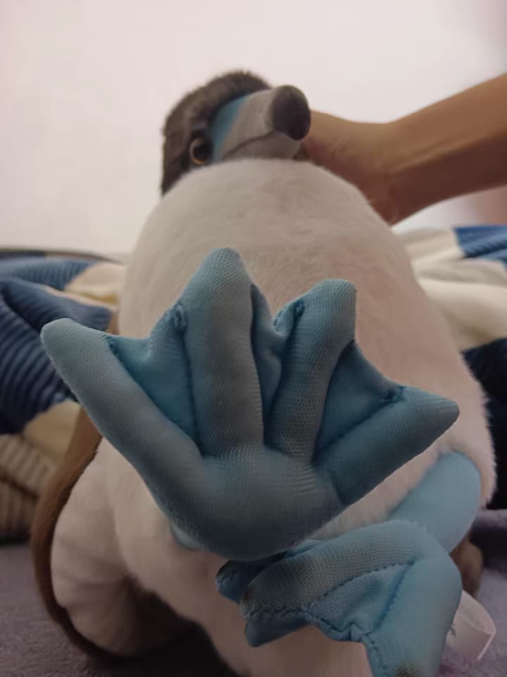 Customer photo review of Realistic Blue-footed Booby Bird Plush Toy – Soft and Lifelike