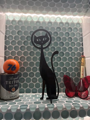 Customer photo review of Atomic Space Cat