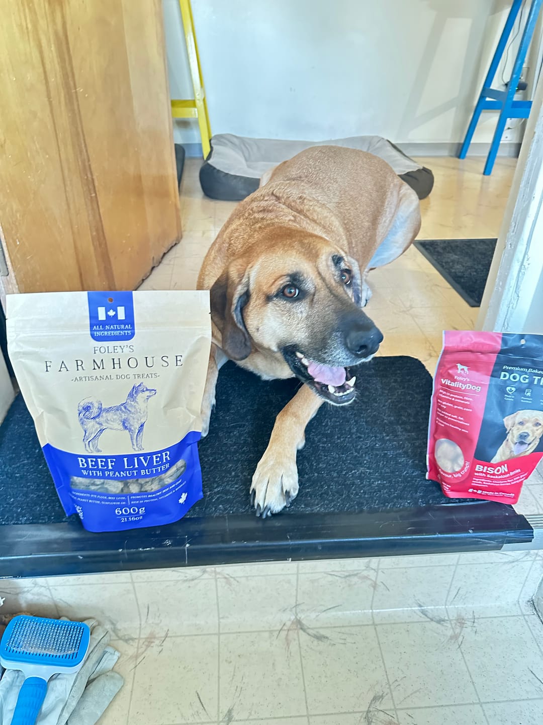 Customer photo review of Mixed - 12 Pack Bundle