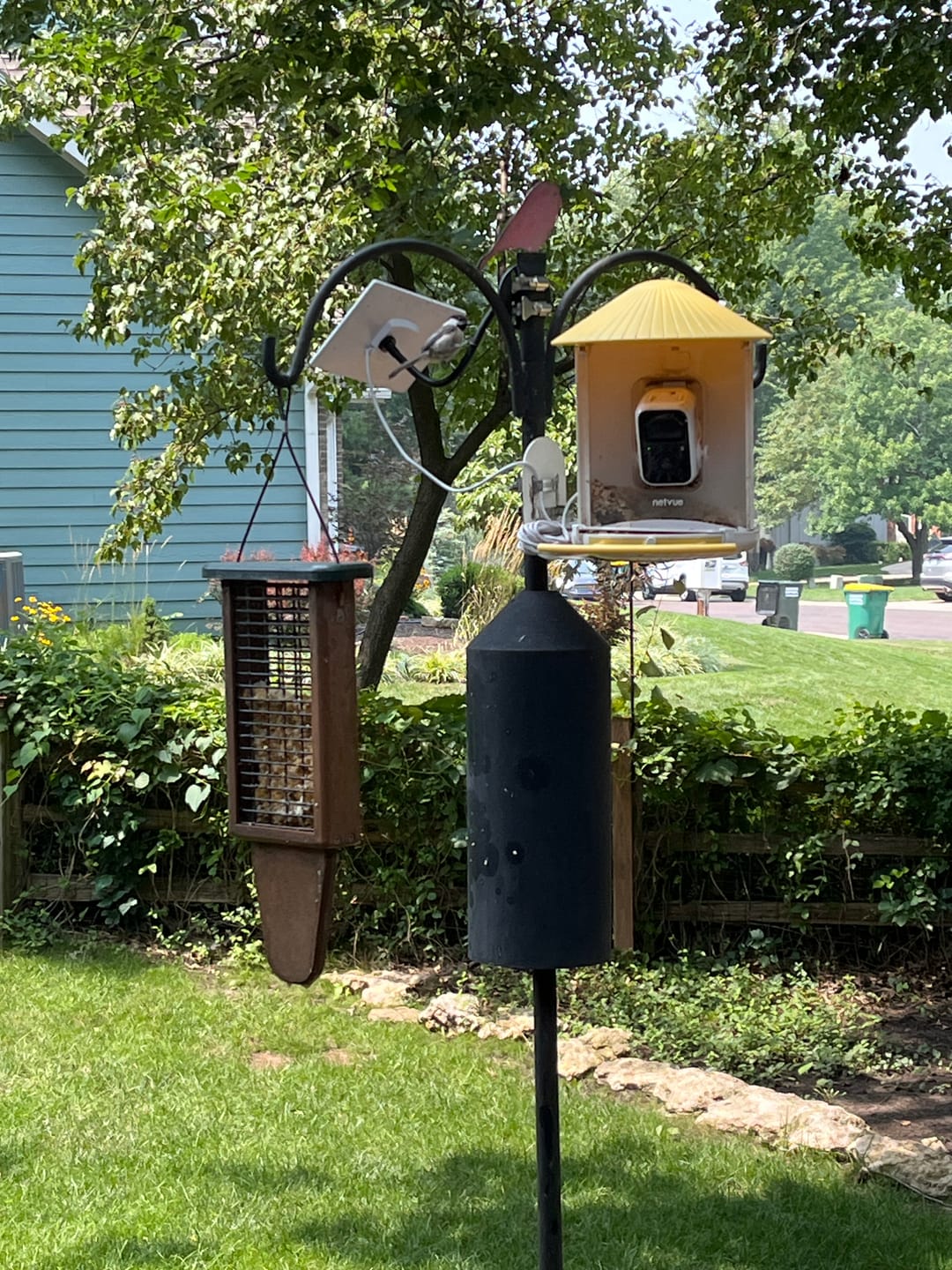 Customer photo review of Birdfy Bird Seed Guard
