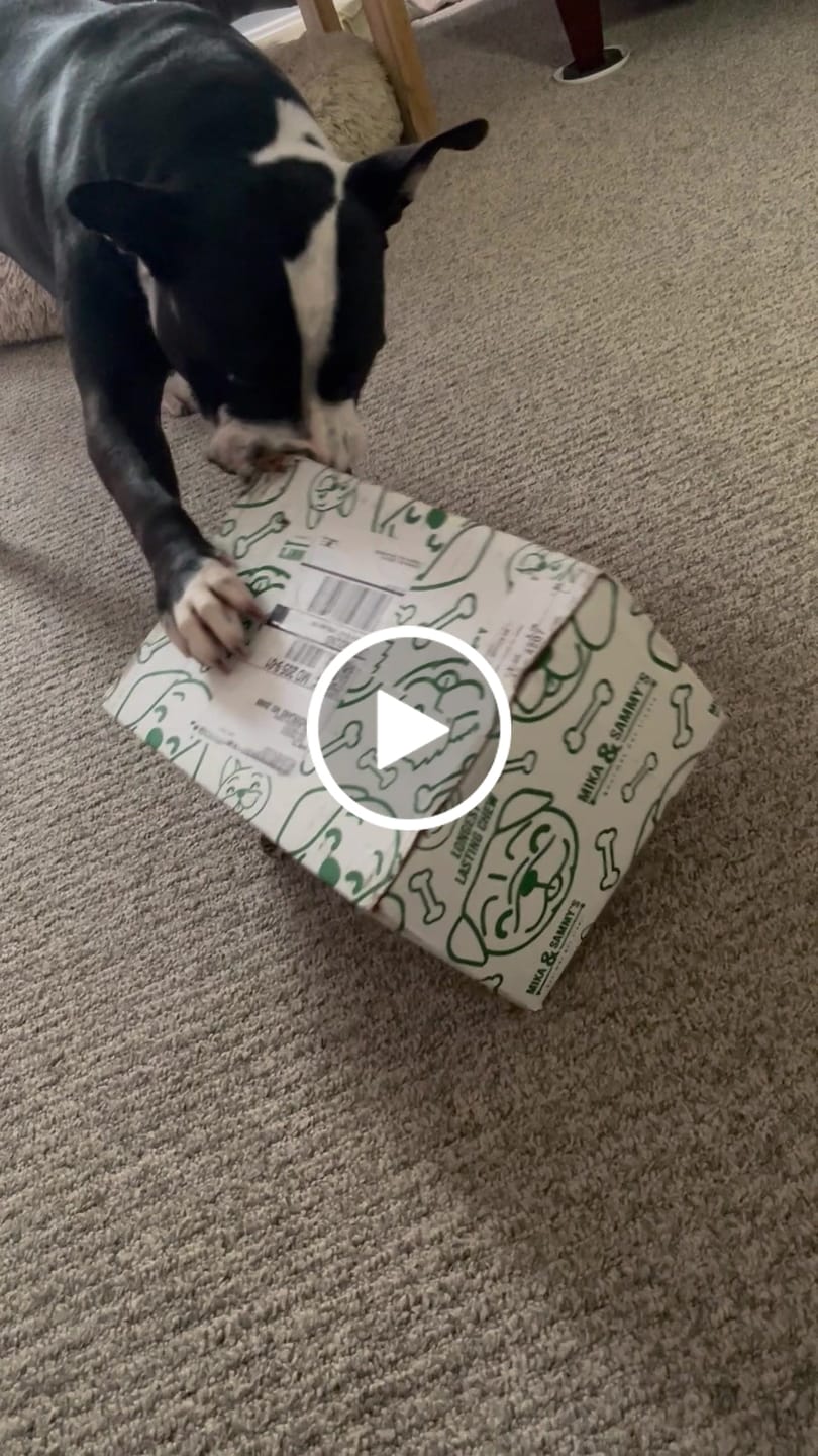 Customer video review of 1 LB Chew Pack