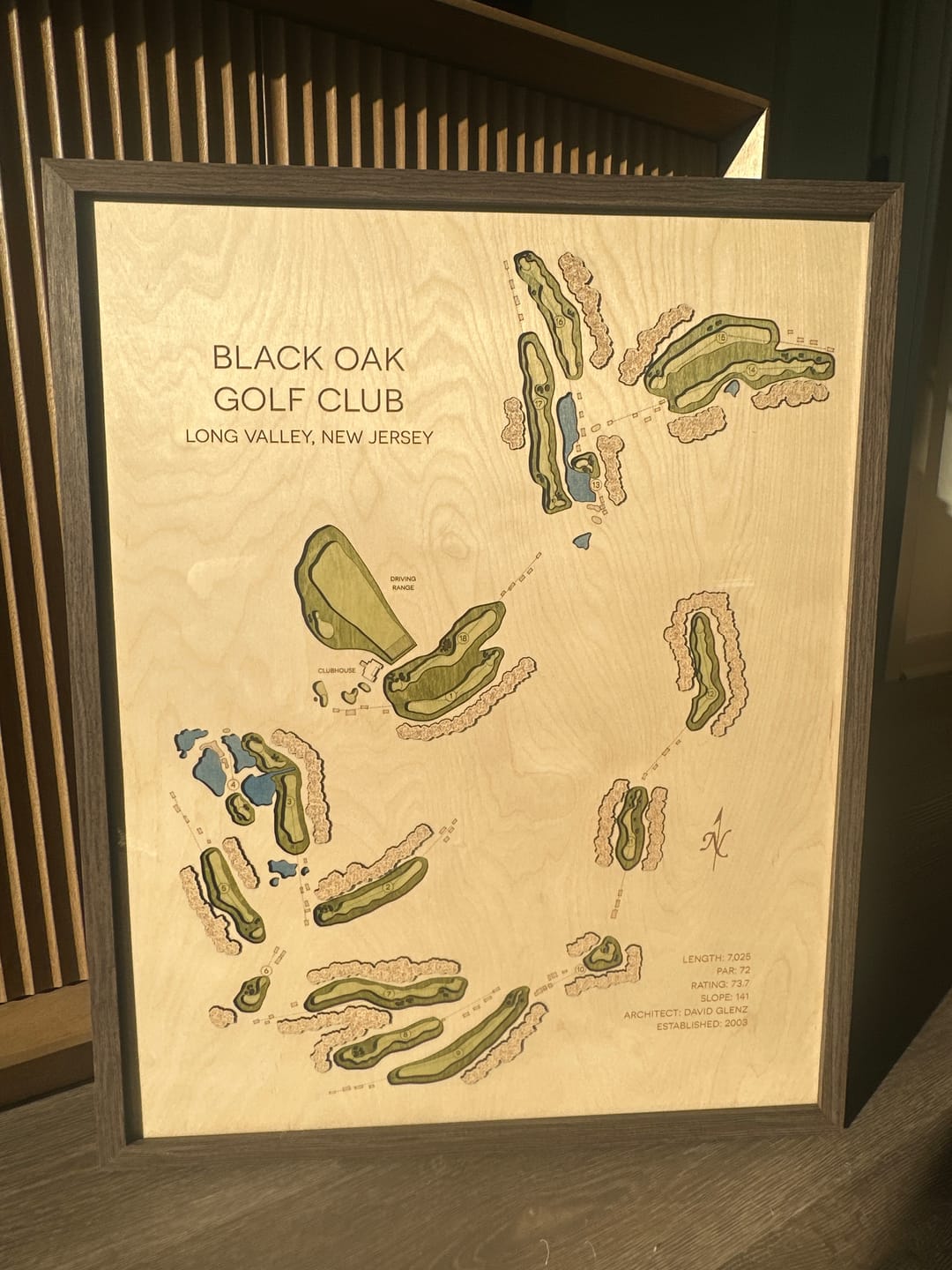 Customer photo review of Custom 3D Multi-Layer Golf Map
