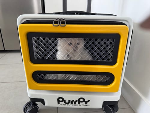 Customer photo review of Purrpy "Sugar Cube" Luggage Pet Carrier Cat Carrier