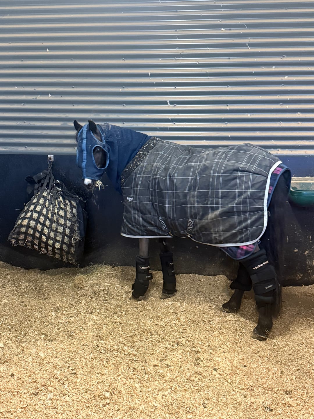 Customer photo review of Rhino Pony Stable 100g