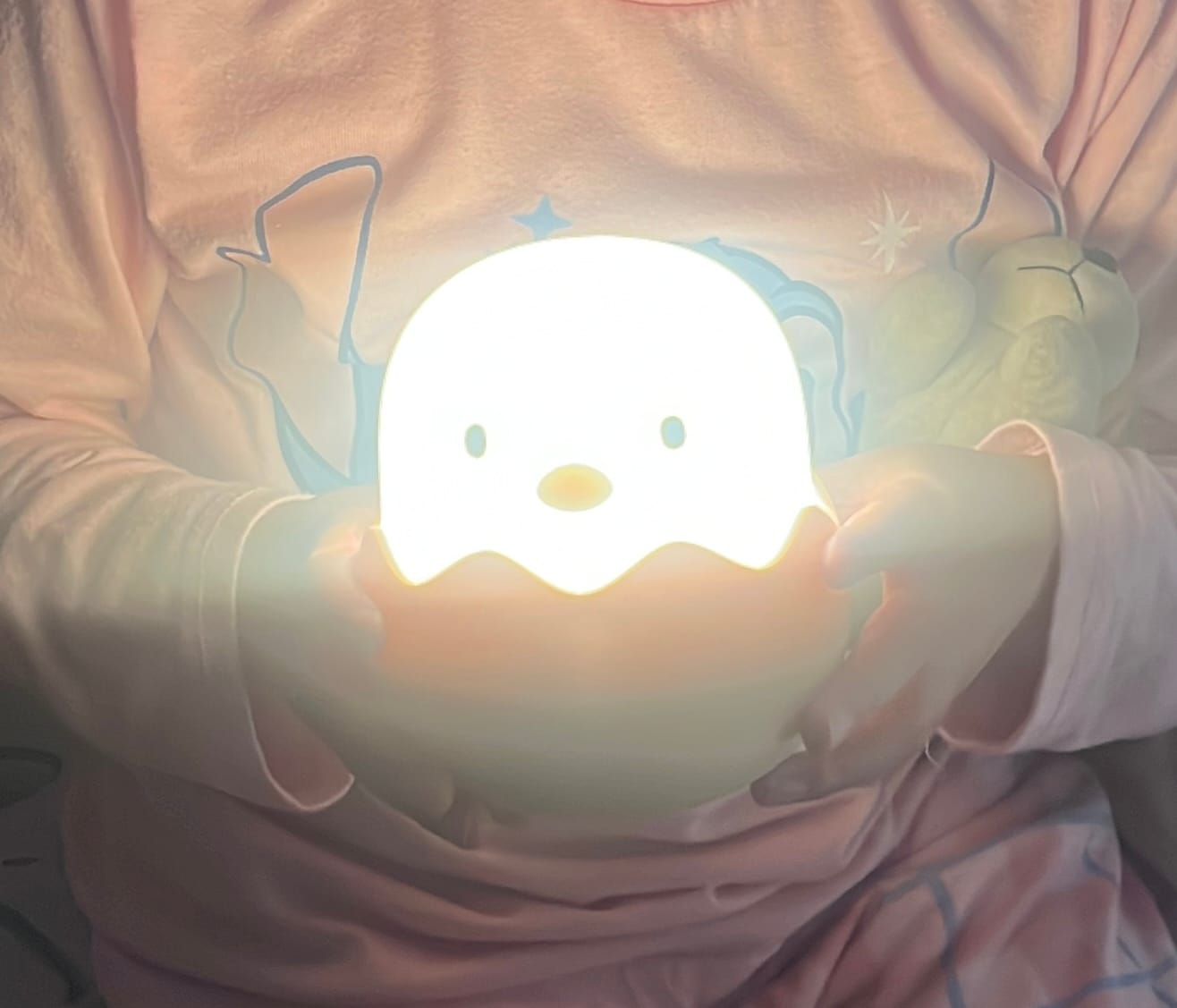 Customer photo review of Chicken Lamp ¡PREVENTA!