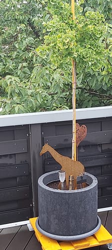 Customer photo review of Gartenstecker Giraffe